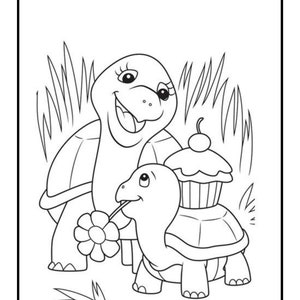 Tortoise coloring
