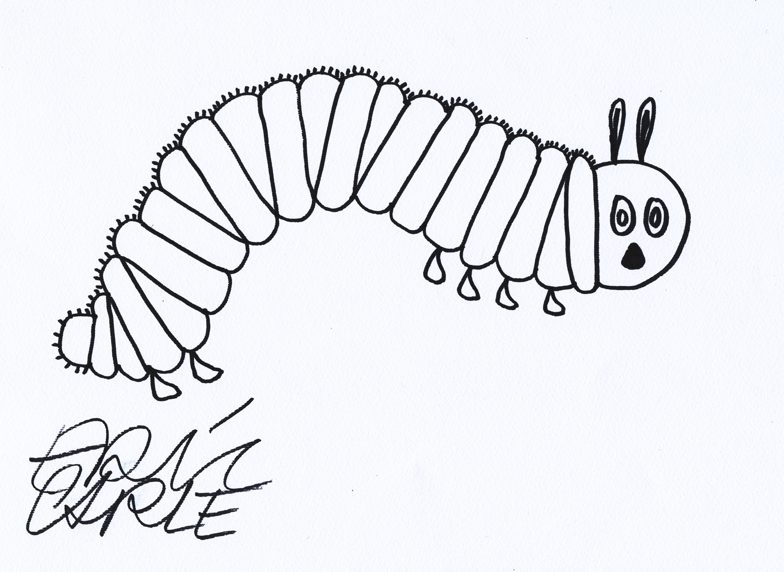 Original drawing of the hungry caterpillar by carle eric