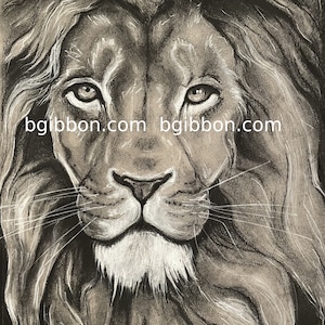 Jim morrison young lion charcoal and pencil portrait the doors realism