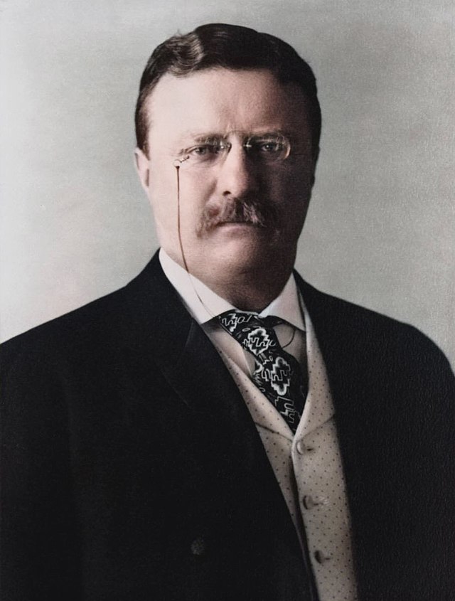 Filecolorized portrait of theodore rooseveltjpeg