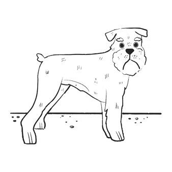 Page teddy roosevelt terrier drawing images