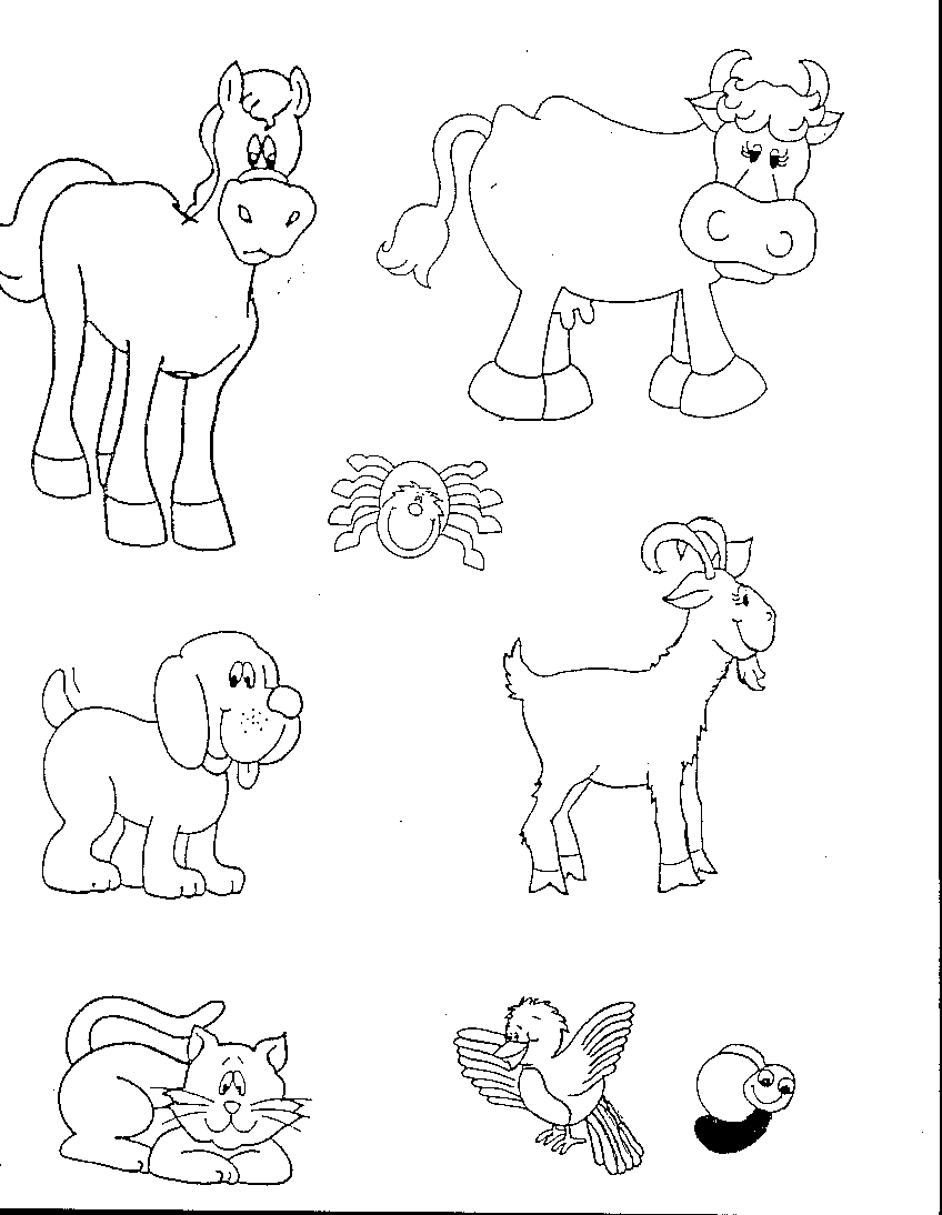 There was an old lady who swallowed a fly coloring page