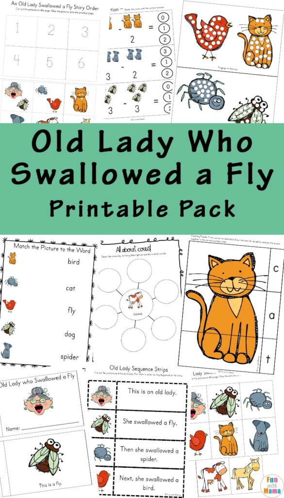 Old lady who swallowed a fly activities