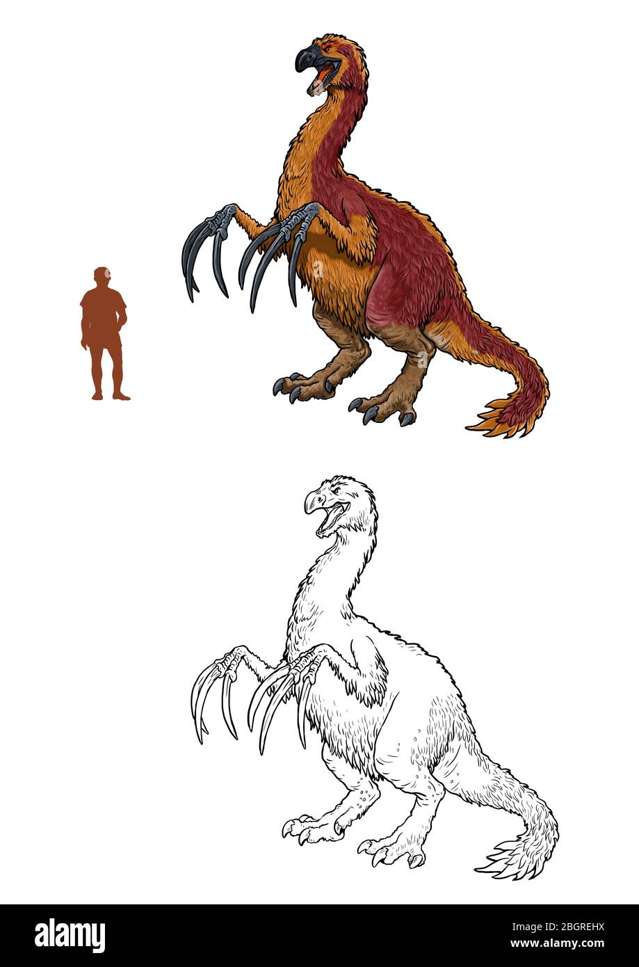 Herbivorous dinosaur