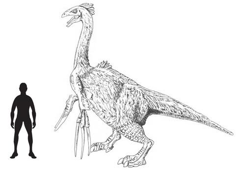 The new drawing of therizinosaurus by mike for use in the everything dinosaur fact sheet on scythe lizards cocodrilo