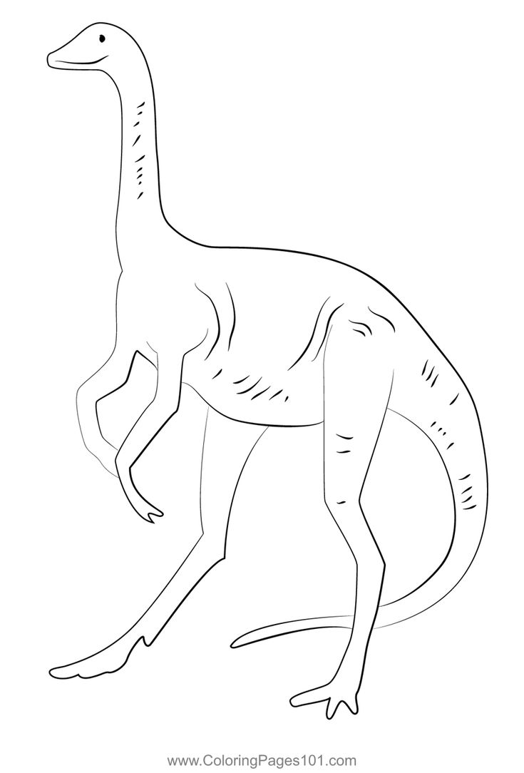 Struthiomimus dinosaurs coloring page dinosaur coloring pages dinosaur coloring coloring pages