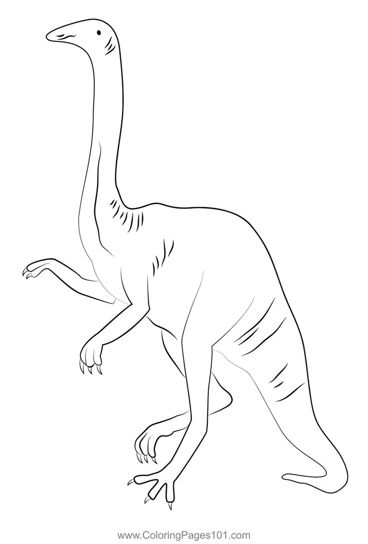 Struthiomimus coloring page dinosaur coloring pages coloring pages dinosaur printables