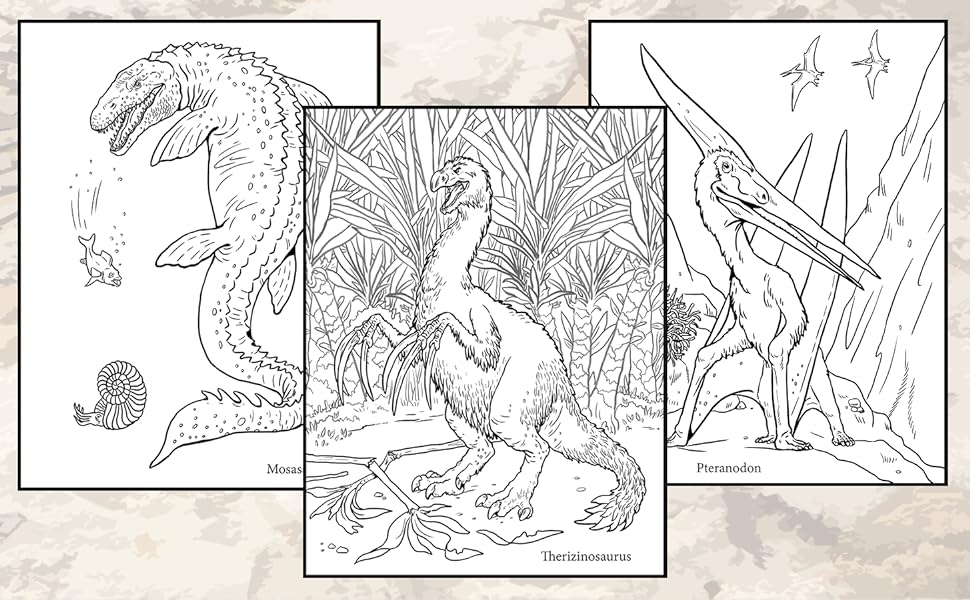 Dinosaurs for kids and adults coloring book dinosaurs for kids and adults an coloring book with dinosaurs drawings lunyakov sascha books