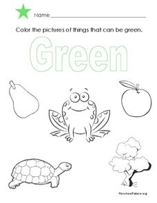 The color green lesson plan for pre