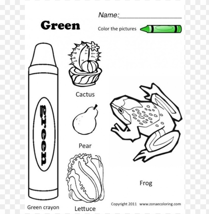 Colors coloring pages things png transparent with clear background id