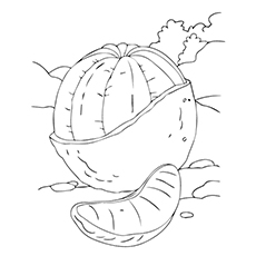 Best orange coloring pages for toddlers
