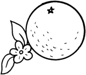 Oranges coloring pages free coloring pages
