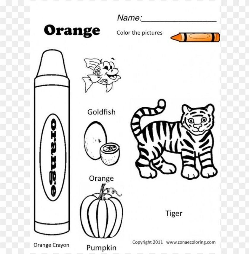 Colors coloring pages things png transparent with clear background id