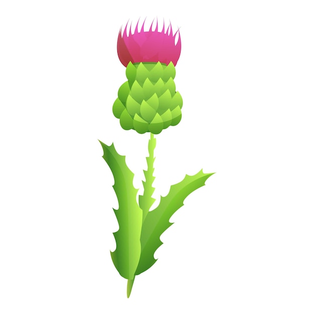 Premium vector thistle blossom icon cartoon of thistle blossom vector icon for web design isolated on white background