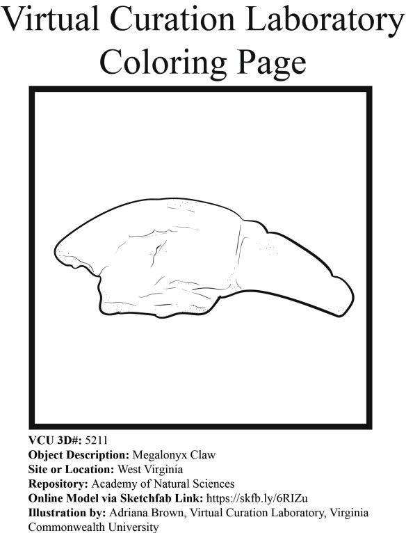 Coloring page for a megalonyx claw that belonged to thomas jefferson the virtual curation laboratory