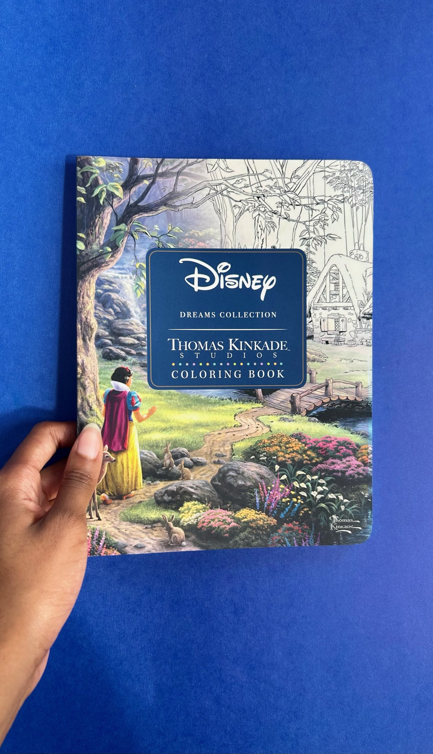Disney dreams collection