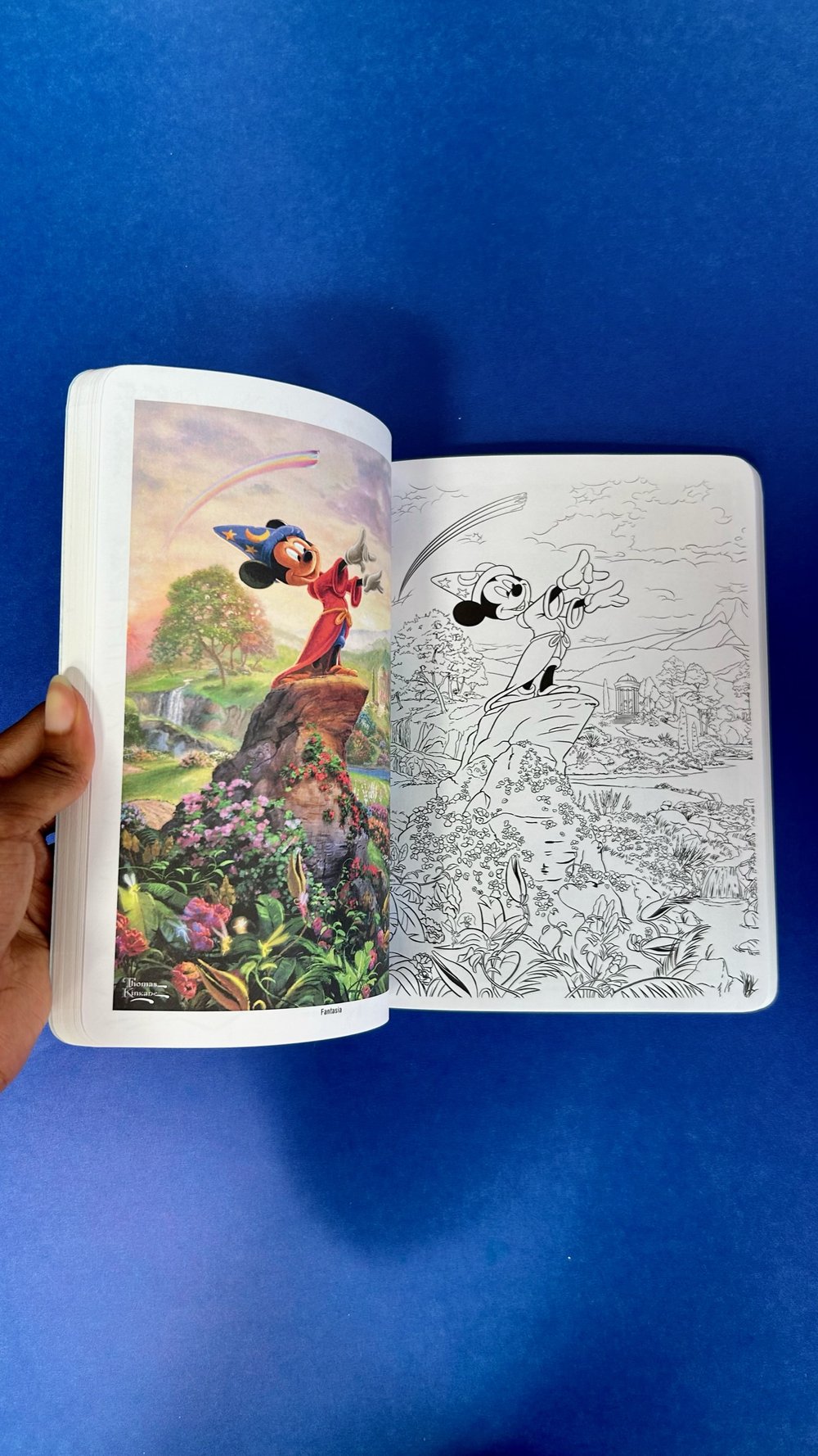 Disney dreams collection