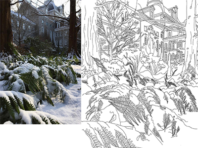 Relaxation with garden coloring scott arboretum