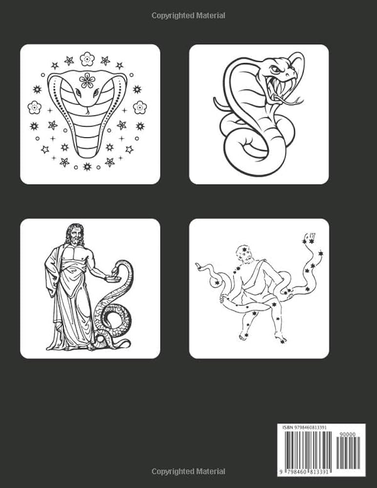 Snake coloring book for toddlers perfect snake colouring books for boys girls and kidssnake coloring book for kids and toddlerssnake coloring book for kids ages