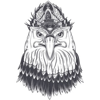 Page cobra kai coloring pages hawk images