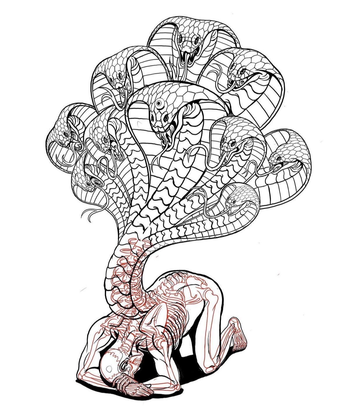 Oren gottfried md on x interpret this cool anatomical illustration from nychos httpstcoeneaggxsq x