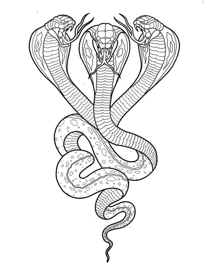 Magalhaes tattoer ricardo on instagram âthree headed snake ð tattoo tattoodesign tattoodesigns arâ sketch tattoo design tattoo illustration snake tattoo