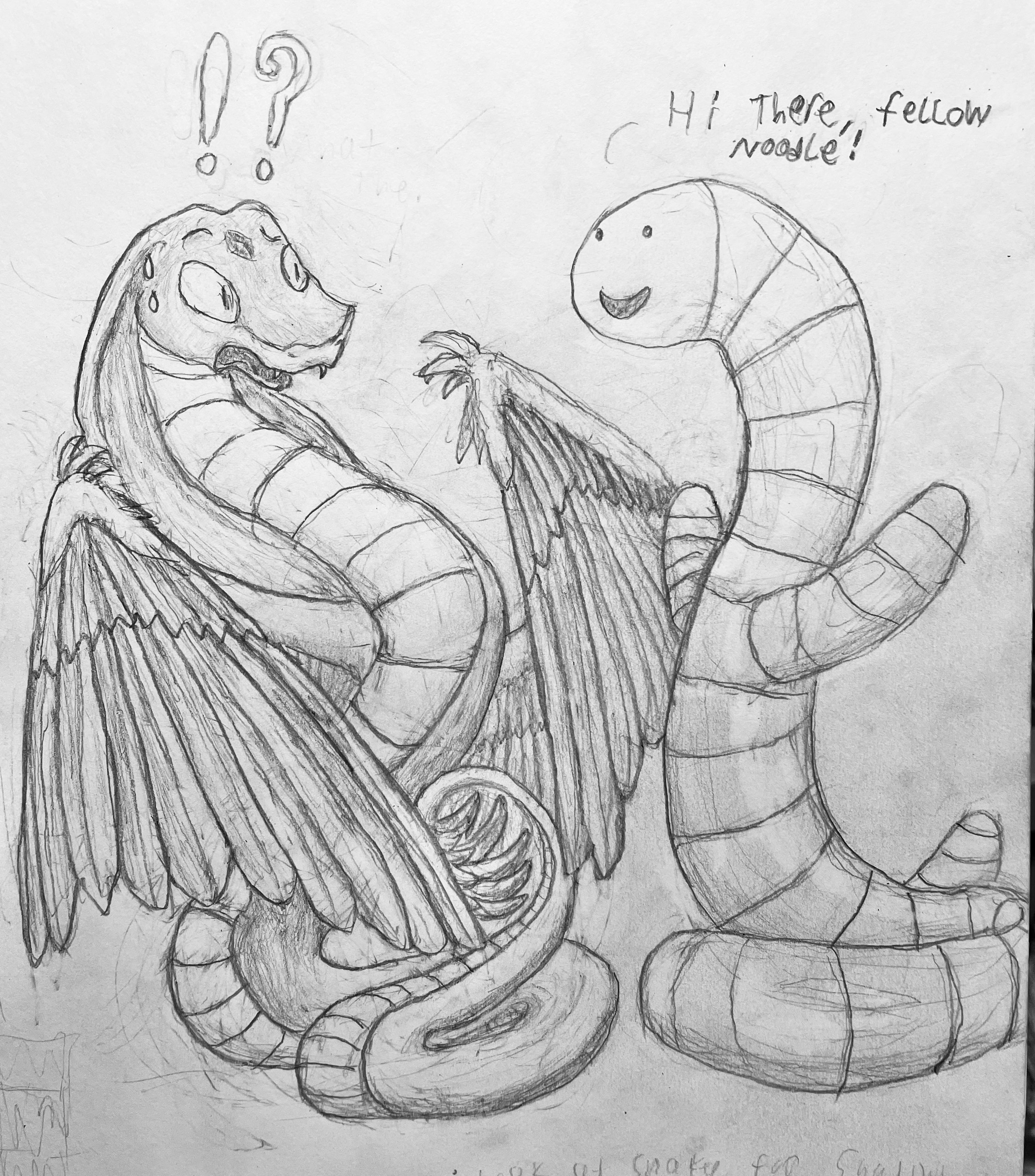 A tale of two noodles rnatureofpredators