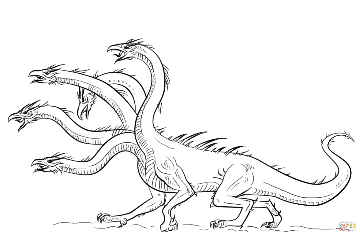 Hydra dragon coloring page free printable coloring pages