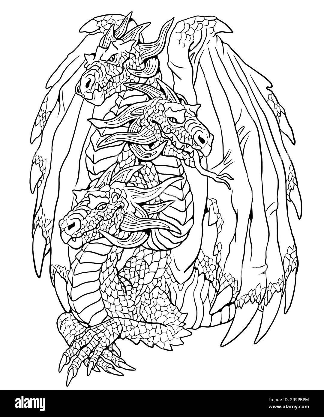 Three headed dragon black and white stock photos images