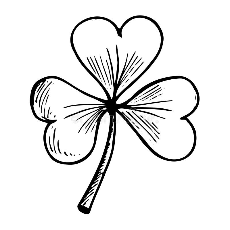 Three leaf clover sketch isolated stock illustrations â three leaf clover sketch isolated stock illustrations vectors clipart