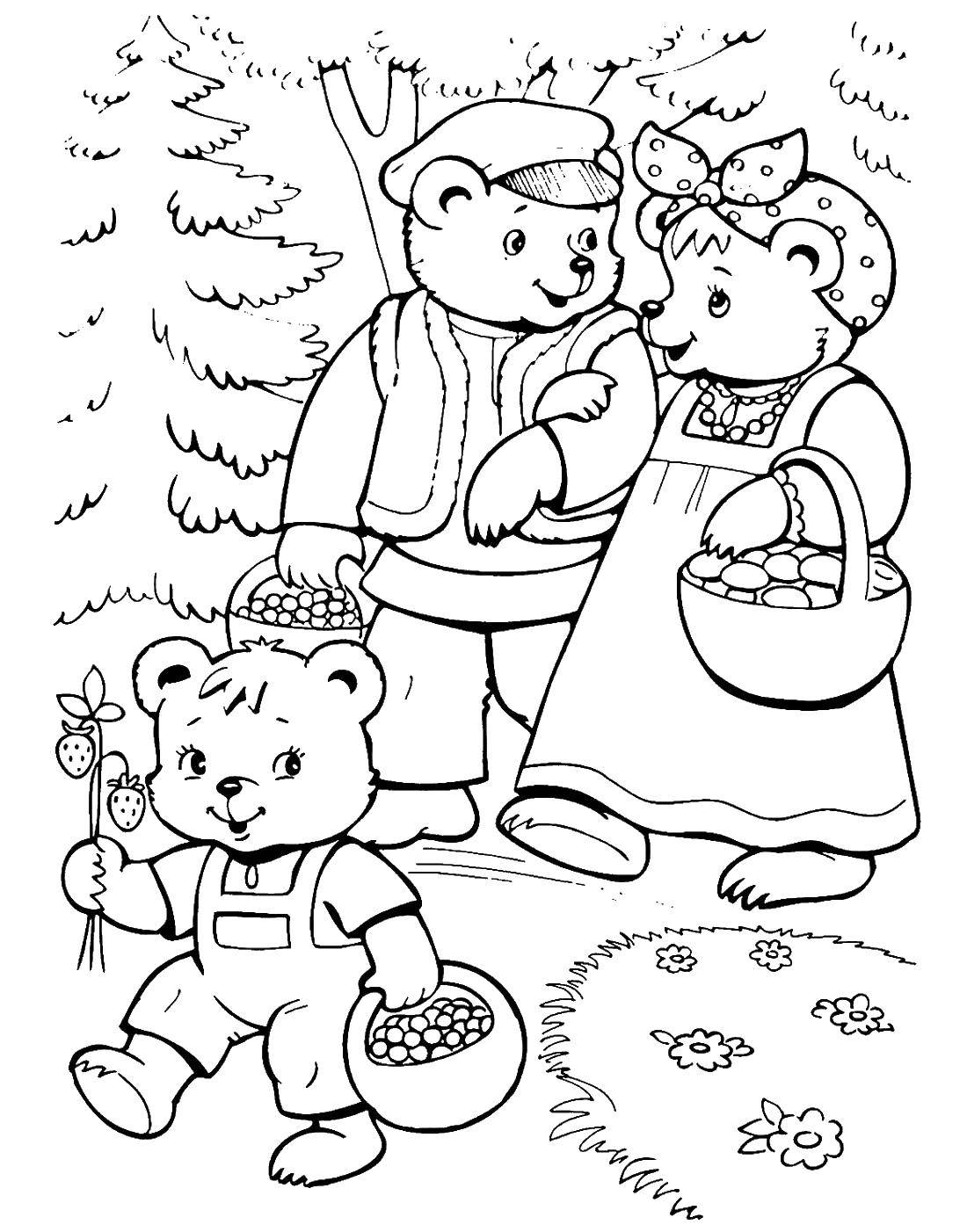 Online coloring pages the coloring bears walk in the woods three bears