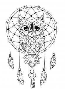 Owls