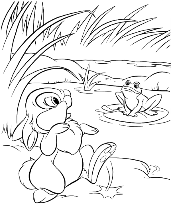 Frog and rabbit printable picture for coloring