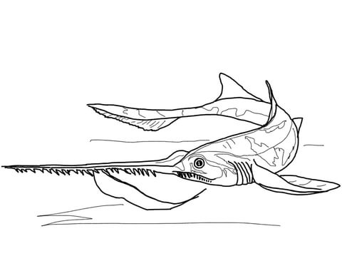 Dibujo de tiburãn sierra trompudo para colorear dibujos para colorear imprimir gratis