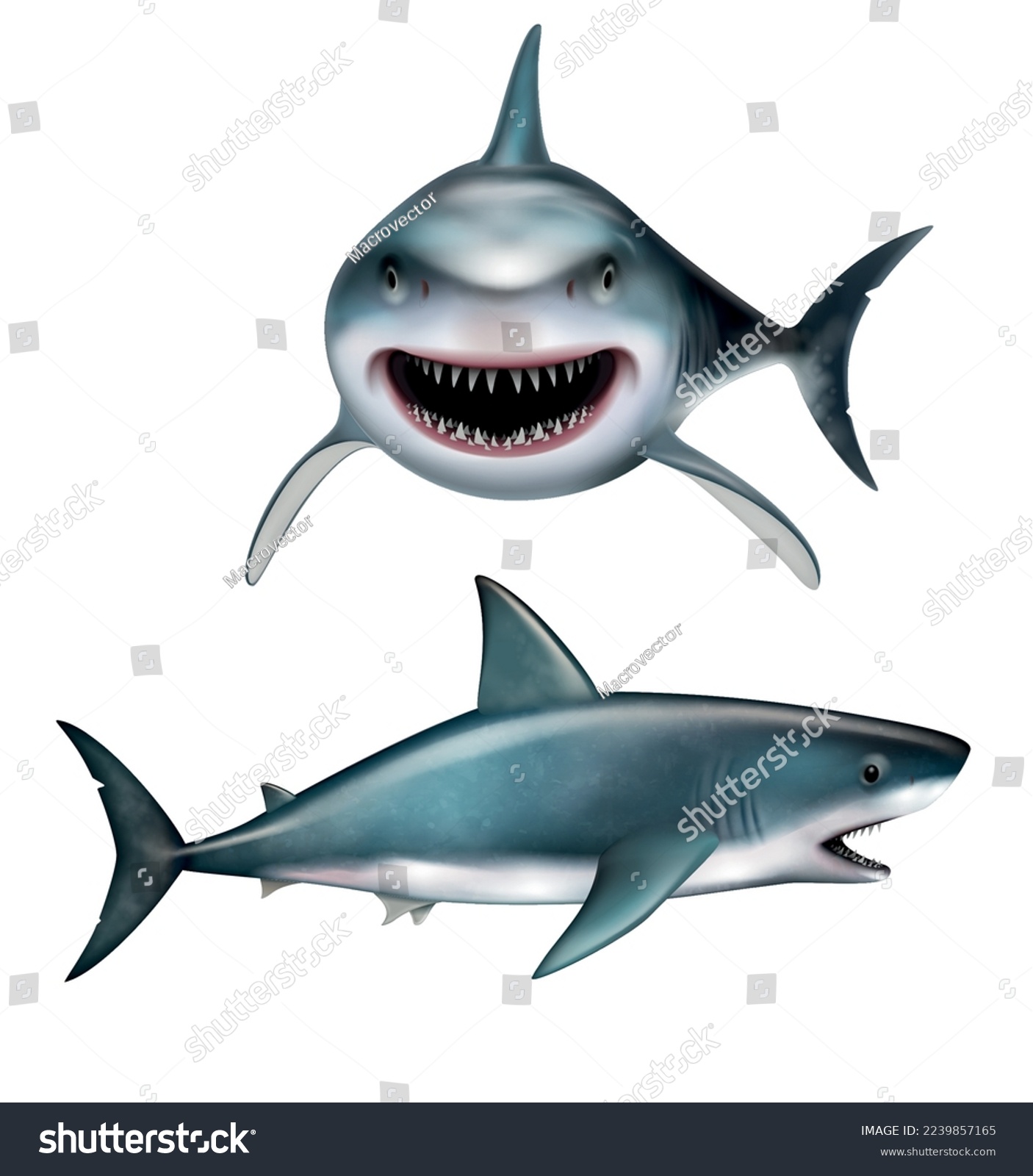 Imãgenes fotos de stock objetos en d y vectores sobre shark realistic