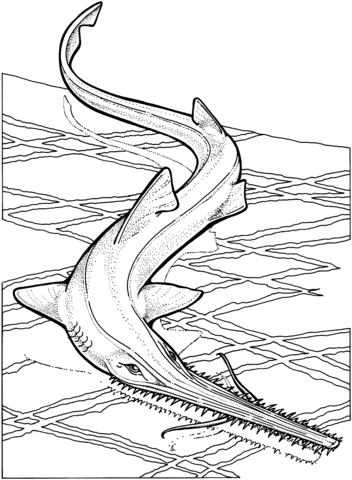 Sawfish coloring page from ray category select from printable crafts of cartoons nature aâ shark coloring pages coloring pages toy story coloring pages
