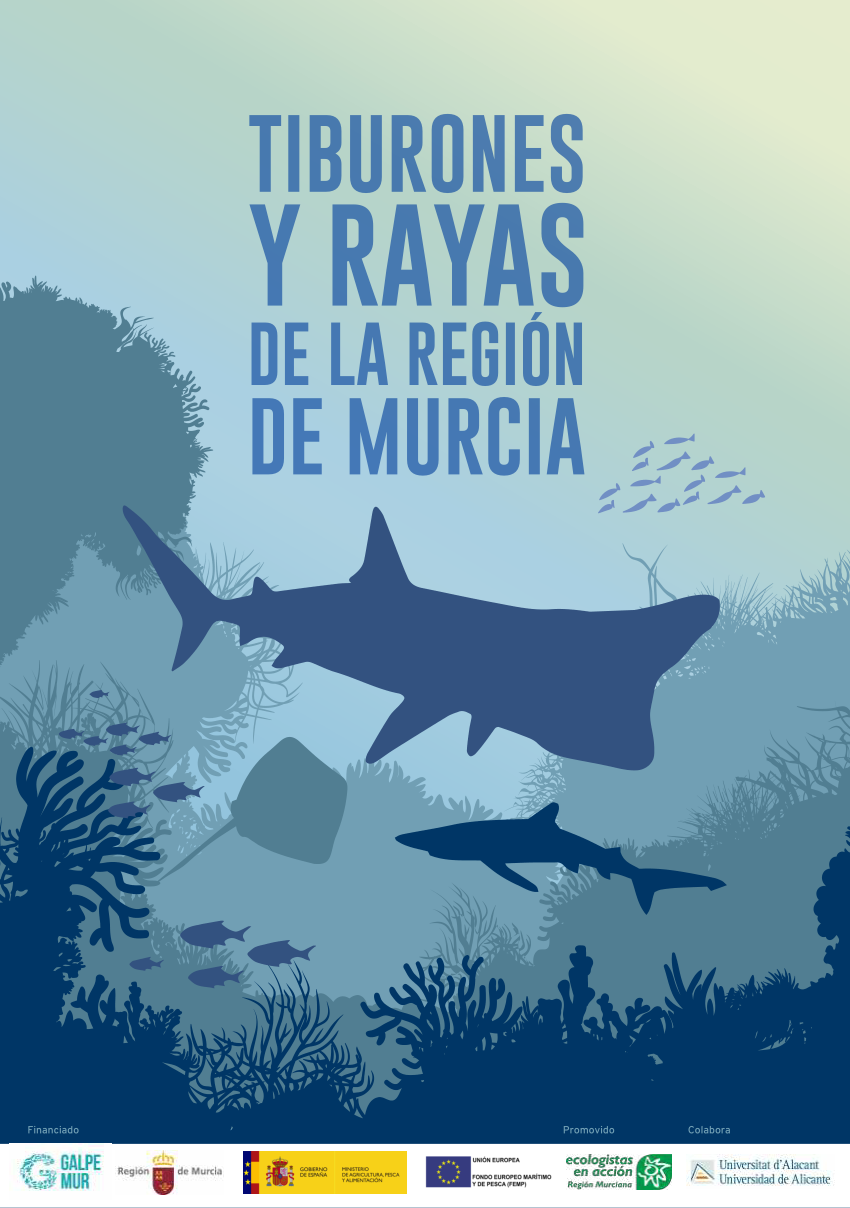 Pdf tiburones y rayas de la regiãn de murcia