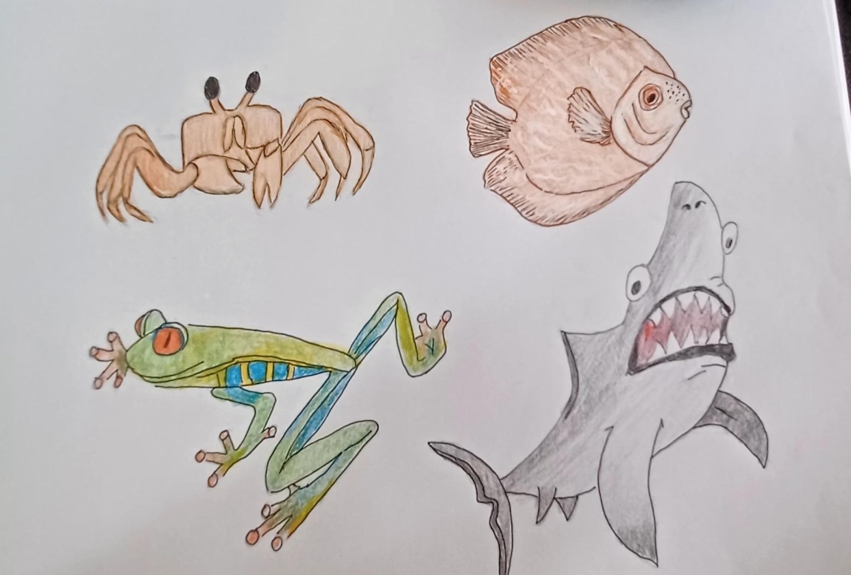 Dibujo de personajes de animales de mar tortuga tiburãn pescado ballenas pulpo cangrejo rana penguin amelie braun