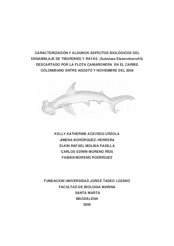 Pdf caracterizaciãn y algunos aspectos biolãgicos del ensamblaje de tiburones y rayas subclase elasmobranchii descartado por la flota camaronera en el caribe colombiano entre agosto y noviembre del jimena bohãrquez