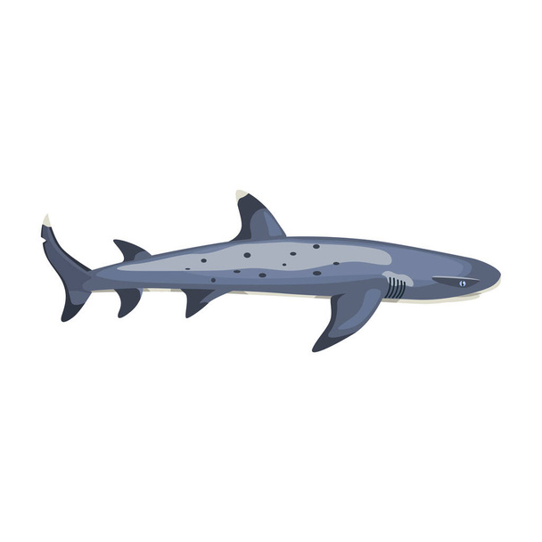 Tiburãn arrecife free stock vectors