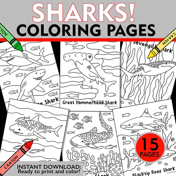 Pãginas para colorear de tiburones hojas para colorear de tiburones pãginas para colorear de la semana del tiburãn actividad de la semana del tiburãn para niãos tiburãn imprimible descarga instantãnea