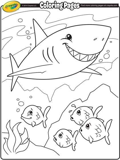 Shark coloring page shark coloring pages free coloring pages fish coloring page