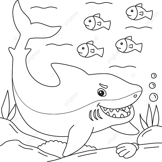 Dibujo de gran tiburon blanco para colorear niãos mar precolar marin vector png dibujos dibujo de tiburon dibujo colar dibujo del mar png y vector para dcargar gratis