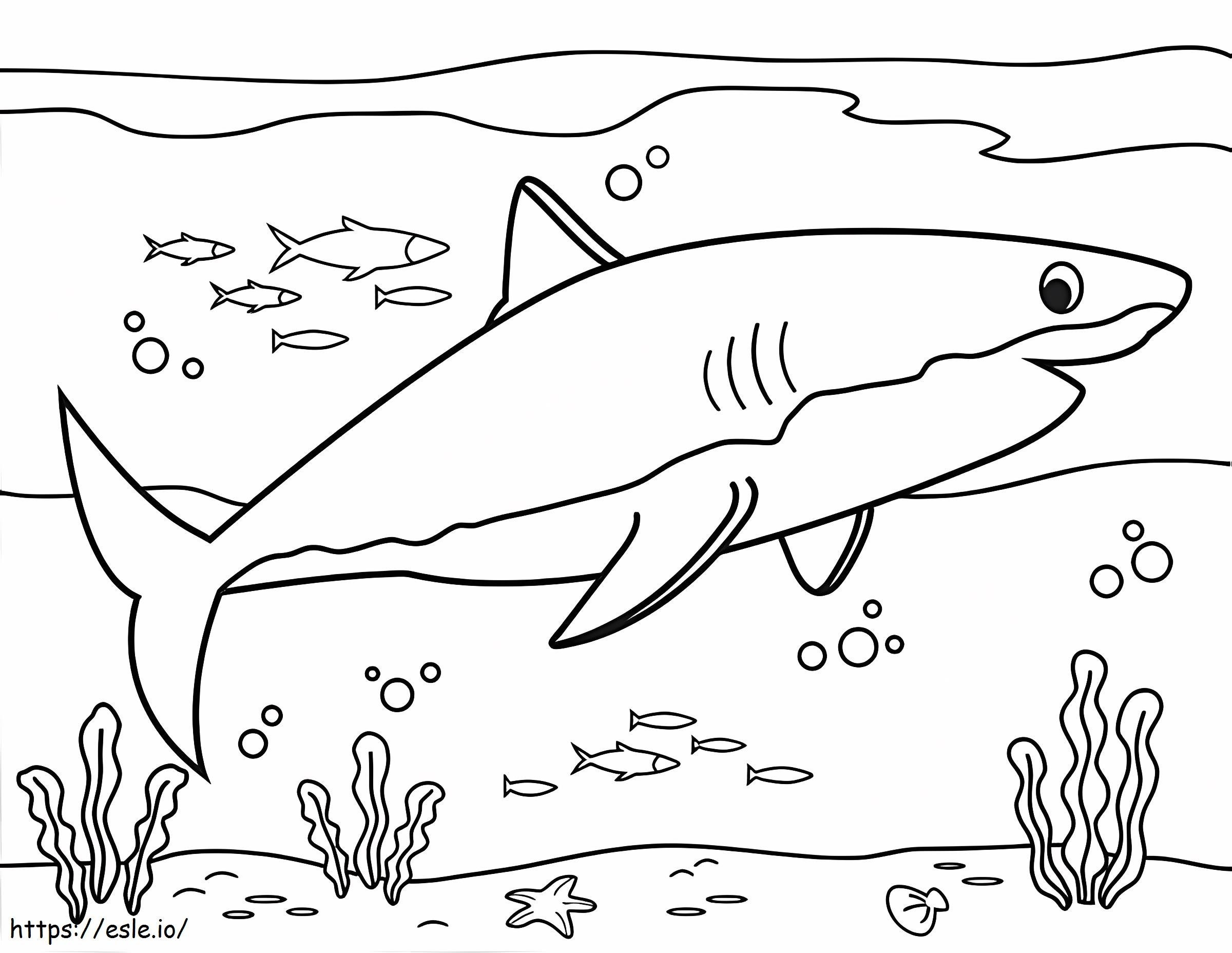 Nataciãn de tiburones para colorear
