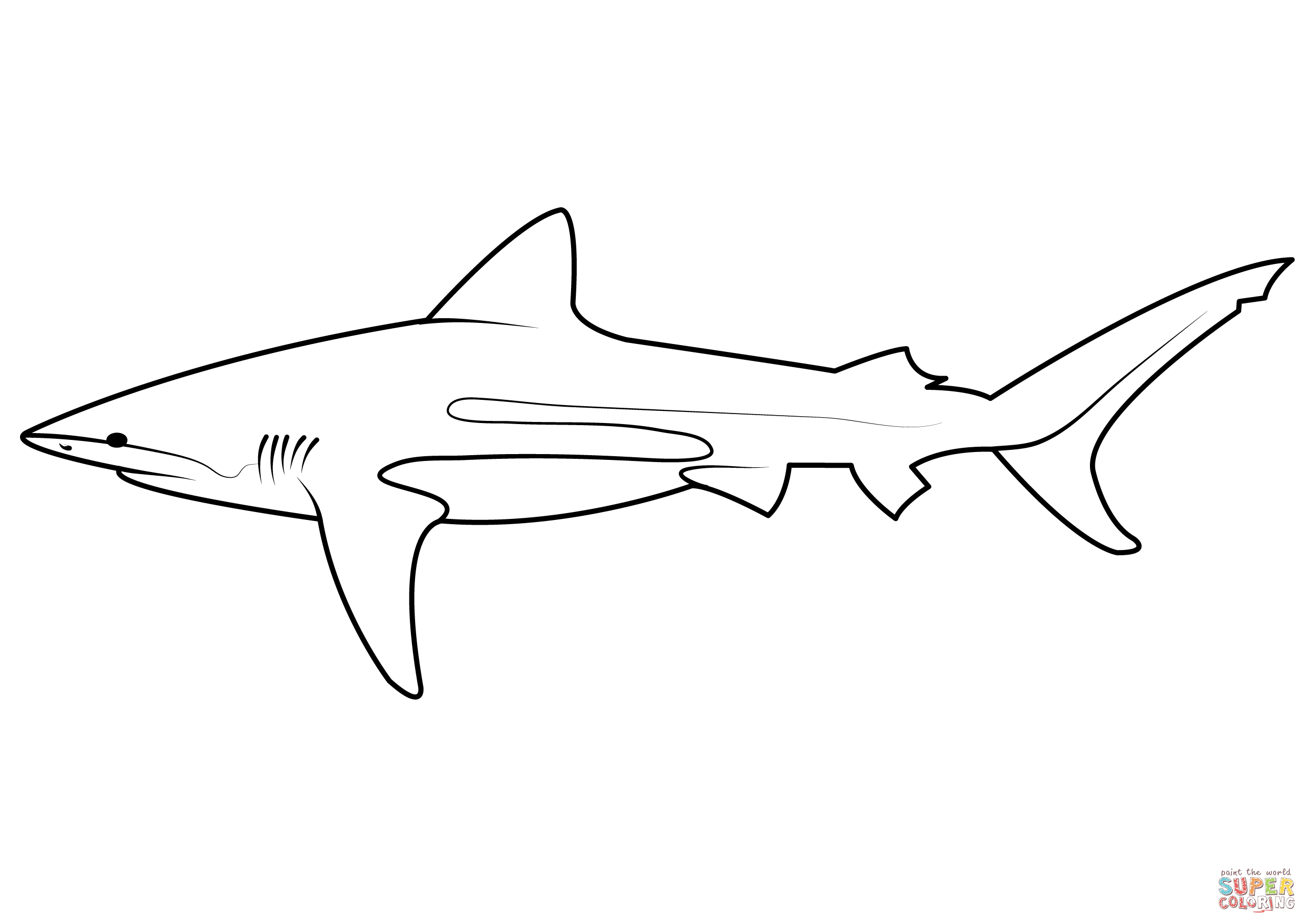 Dibujo de tiburãn coralino carcharhinus perezi para colorear dibujos para colorear imprimir gratis