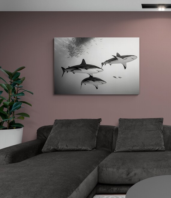 Arte de pared de tiburãn de arrecife en blanco y negro sobre lienzo metal o acrãlico imagen de tiburones nadando debajo de un bote listo para colgar
