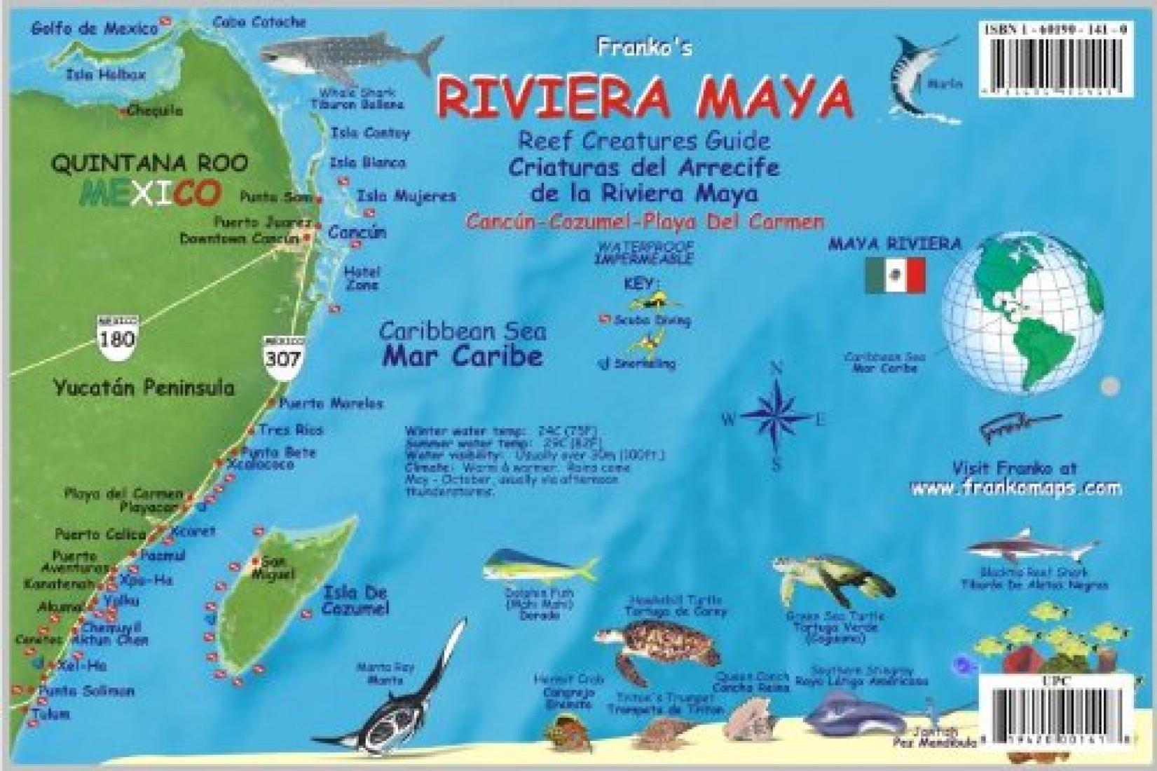 Criaturas del arrecife de la riviera maya cancun
