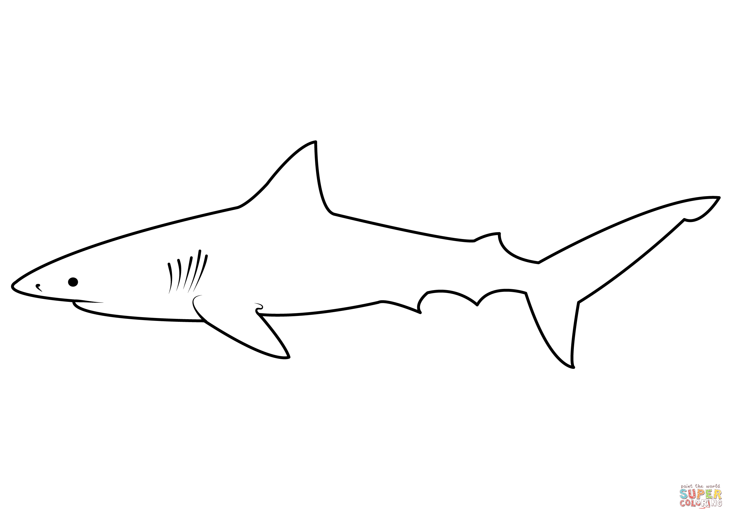 Dibujo de tiburãn gris carcharhinus amblyrhynchos para colorear dibujos para colorear imprimir gratis