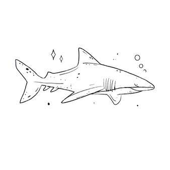 Pãgina vector e ilustracion de tiburon gris para dcargar gratis