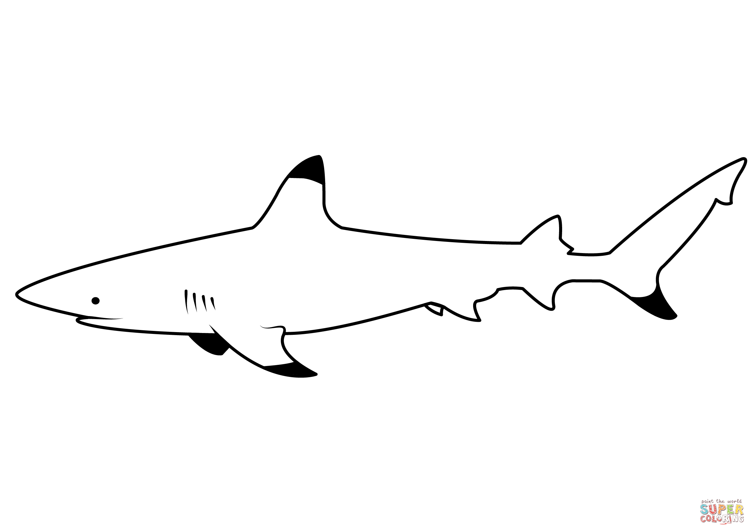 Dibujo de tiburãn de puntas negras carcharhinus melanopterus para colorear dibujos para colorear imprimir gratis